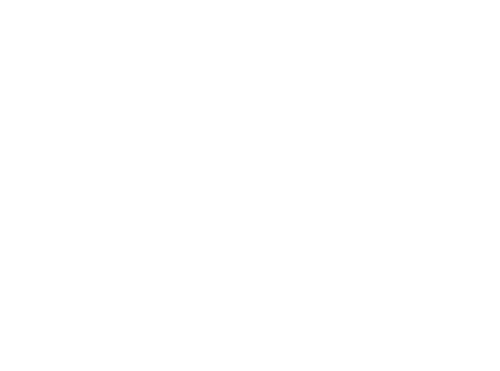 MJ Stores